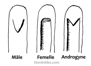 Types de propulseurs