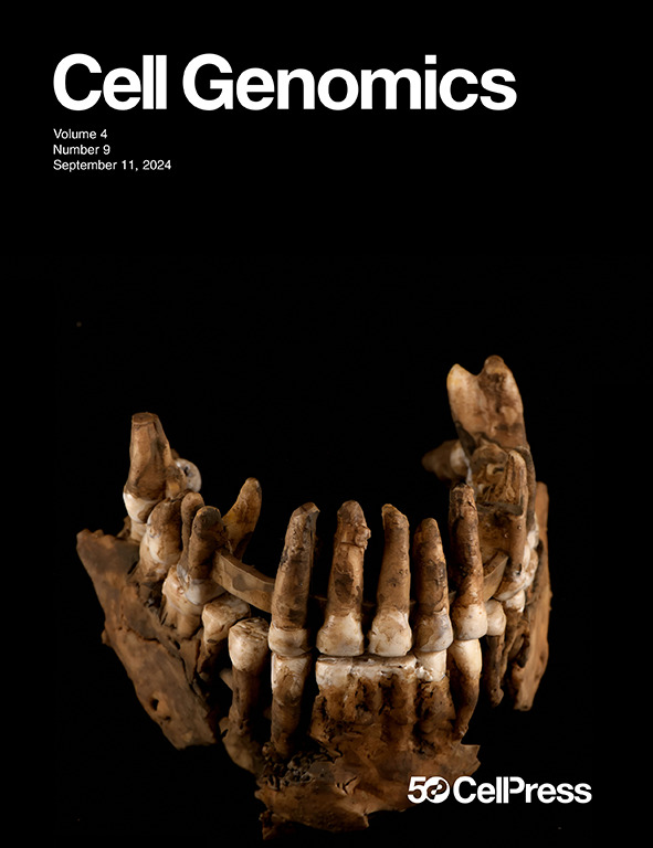 Deux lignées de néandertaliens séparées il y a 100 000 ans…